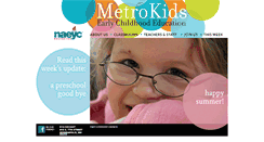 Desktop Screenshot of metrokids.org